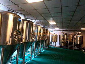 2019年北京精釀啤酒設備廠家管道設備全新報價解析